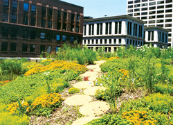 Blindside Waterproofing
