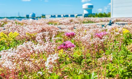 Waterproofing Green Roofs