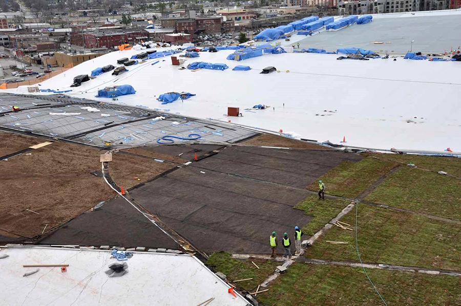 Waterproofing Green Roofs WATERPROOF! Magazine