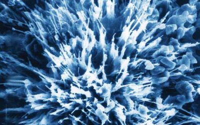 Crystalline Waterproofing & Green Building Construction