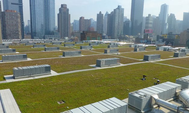 Big Convention Center Gets a Big Green Roof