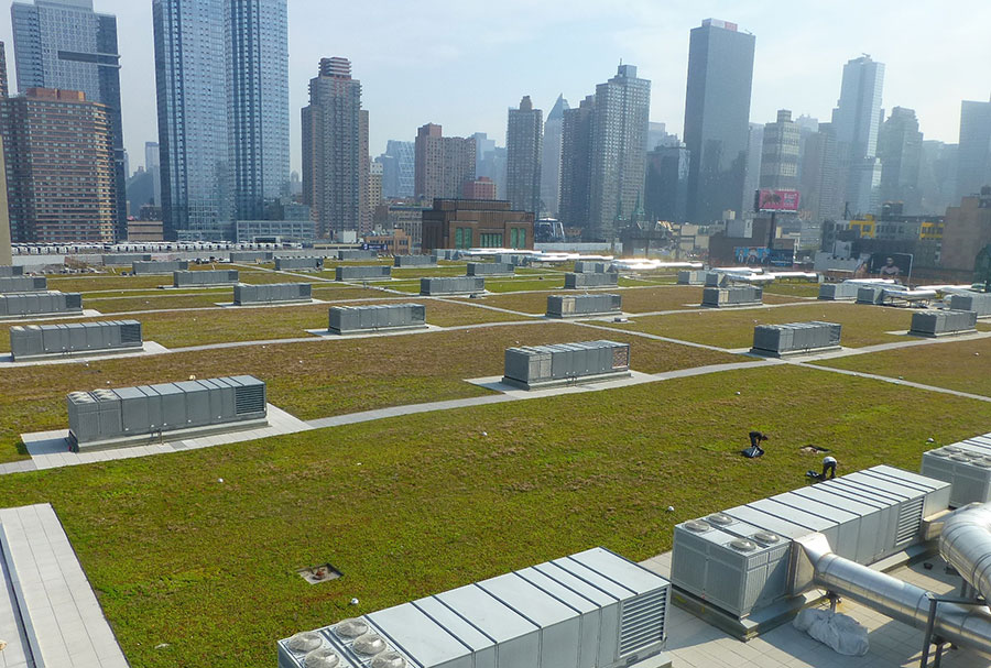 Big Convention Center Gets a Big Green Roof