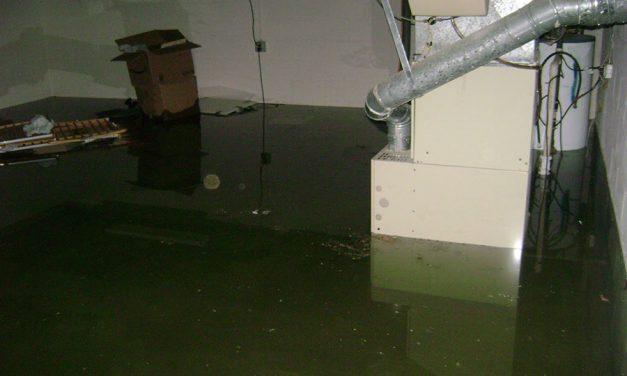 Ensuring Sump Pumps Perform