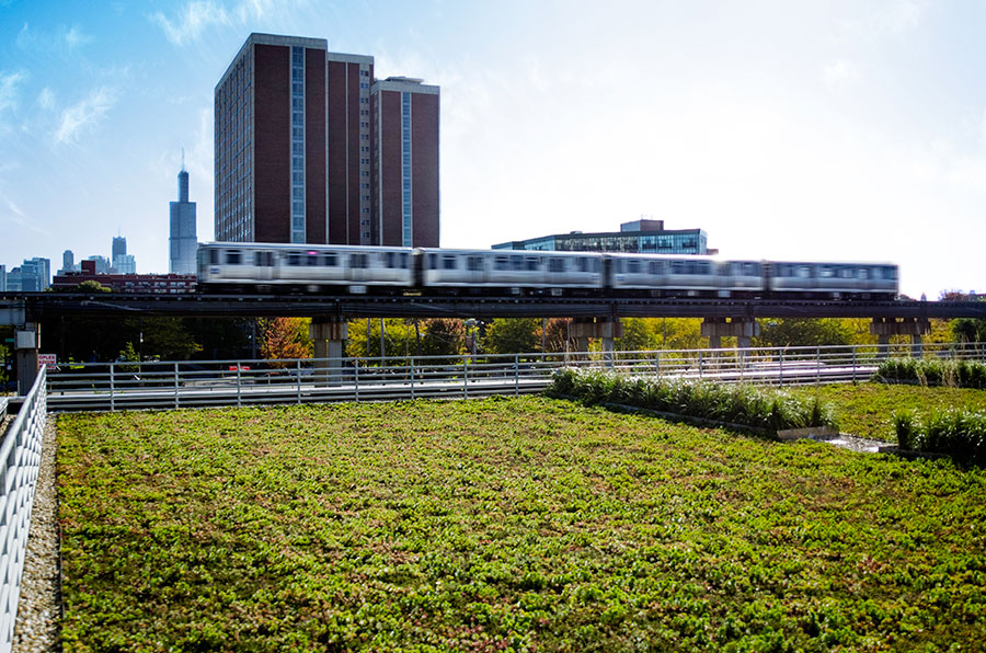 Green Roof Profile: Chicago Bulls Practice Facility