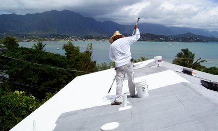 Cool Roofing: Reflective v. Planted