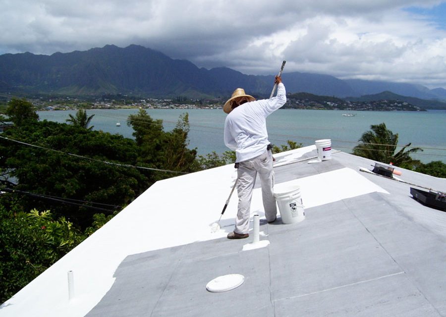 Cool Roofing: Reflective v. Planted