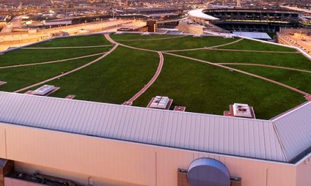 Wind and Fire Standards for Living Roofs