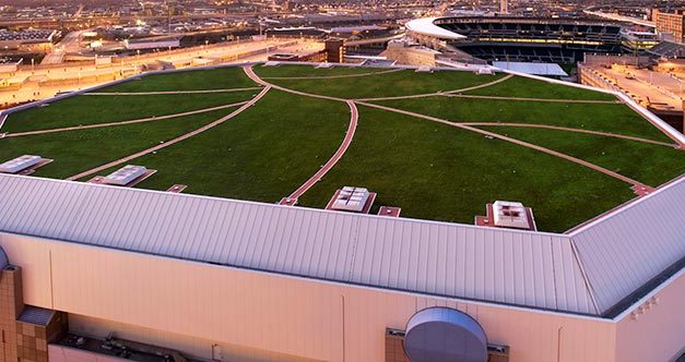 Wind and Fire Standards for Living Roofs