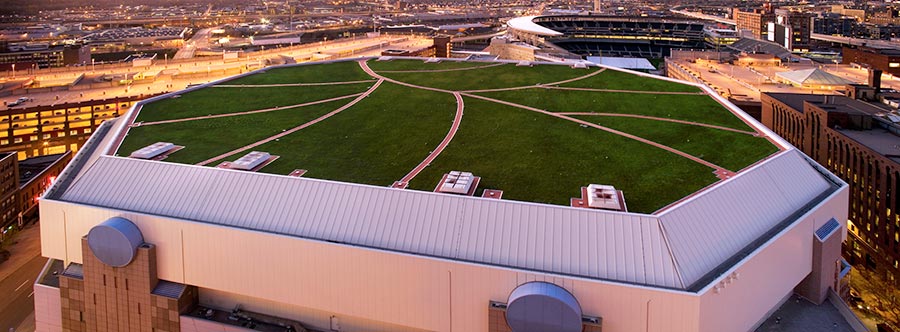 Wind and Fire Standards for Living Roofs