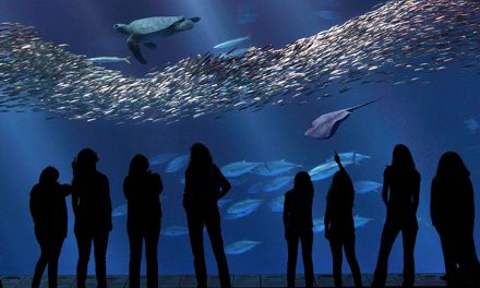 Specialty Applications: Monterey Bay Aquarium
