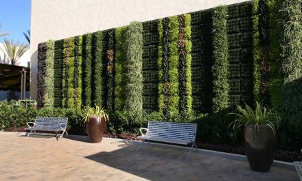 Green Walls, A Different Direction