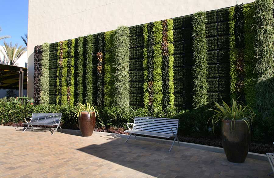 Green Walls, A Different Direction