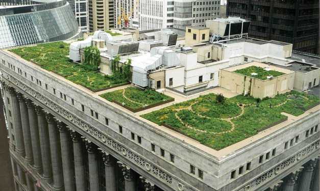 Green Rooftops