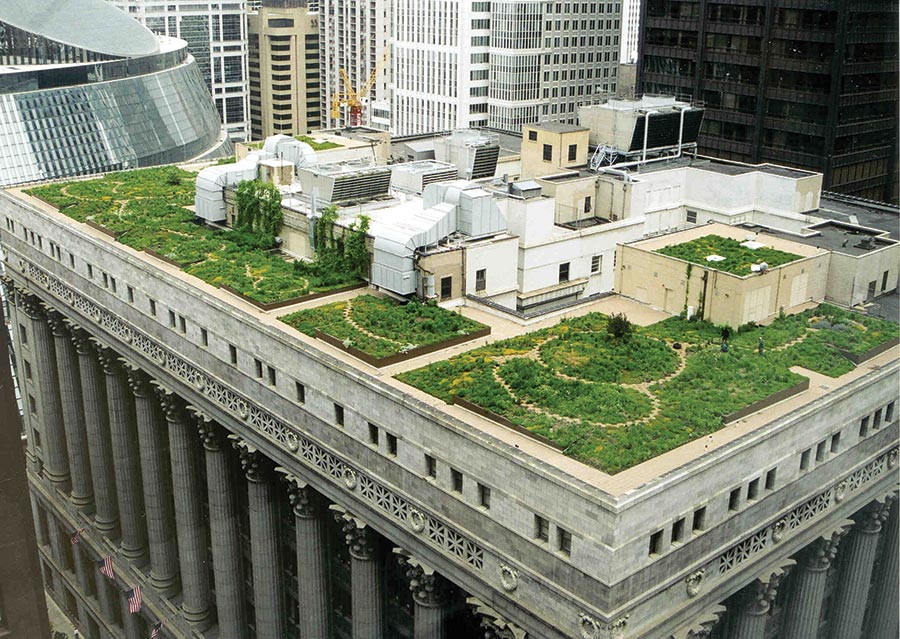 Green Rooftops