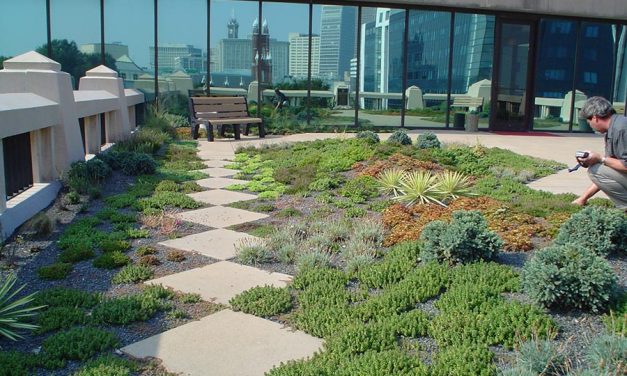 Green Roof as a Retrofit Option