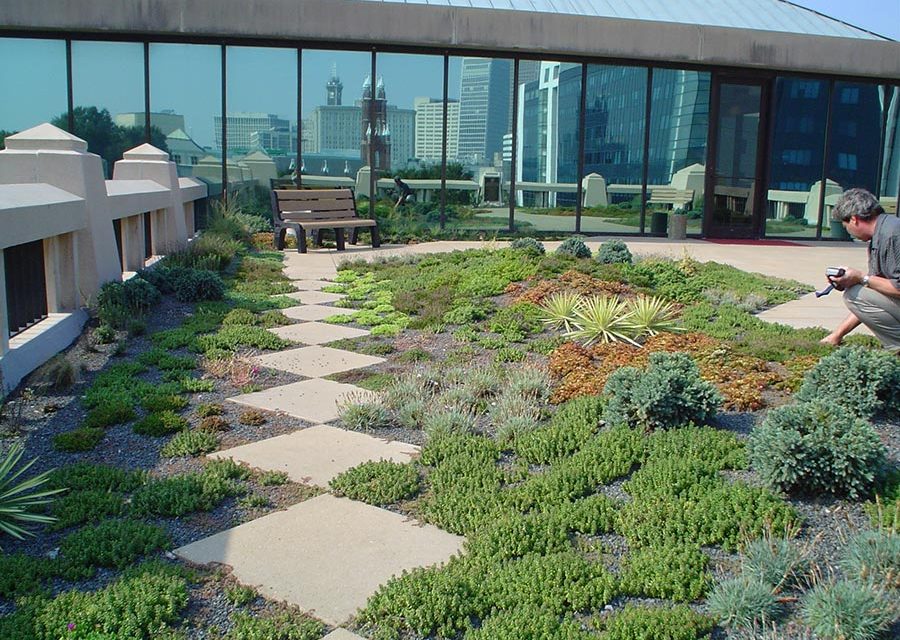 Green Roof as a Retrofit Option