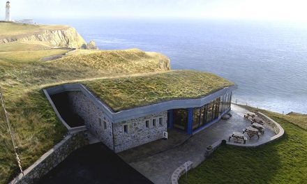 Sloped Green Roofs