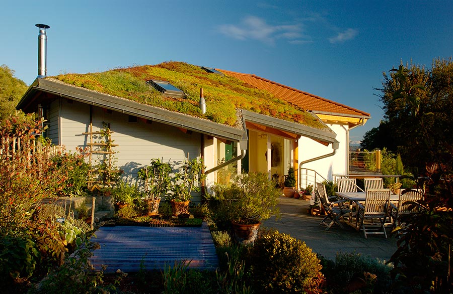 Sloped Green Roofs | WATERPROOF! Magazine