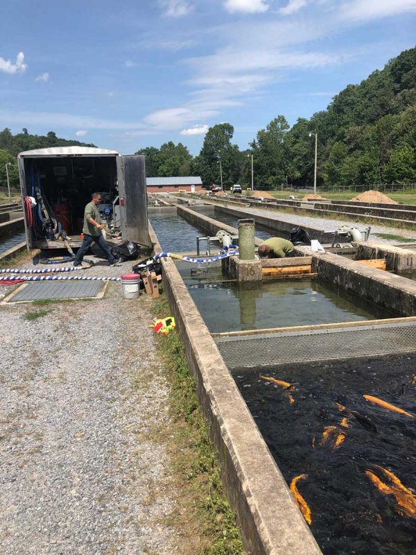 Rehabilitating Reeds Creek Fish Hatchery WATERPROOF! Magazine