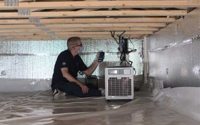 Crawlspace Monitoring: The why, the how, and the differences
