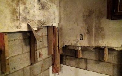 Mold Growth in New Construction