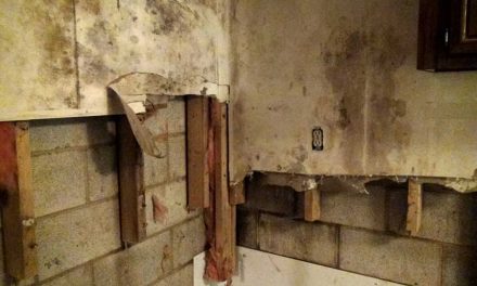 Mold Growth in New Construction