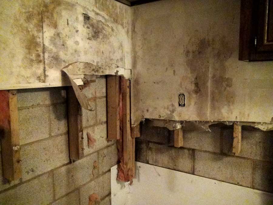 Mold Growth in New Construction