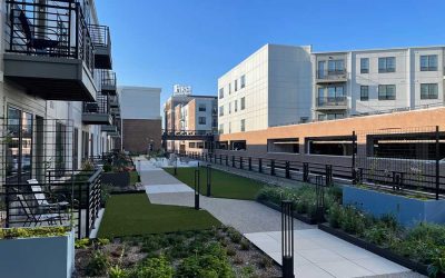 Managing Weight & Water In a Green Roof