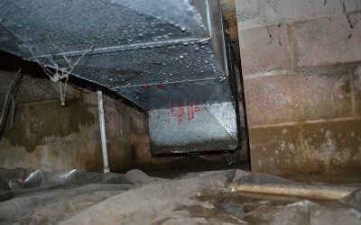 Waterproofing in High Humidity