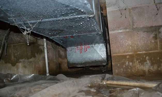 Waterproofing in High Humidity