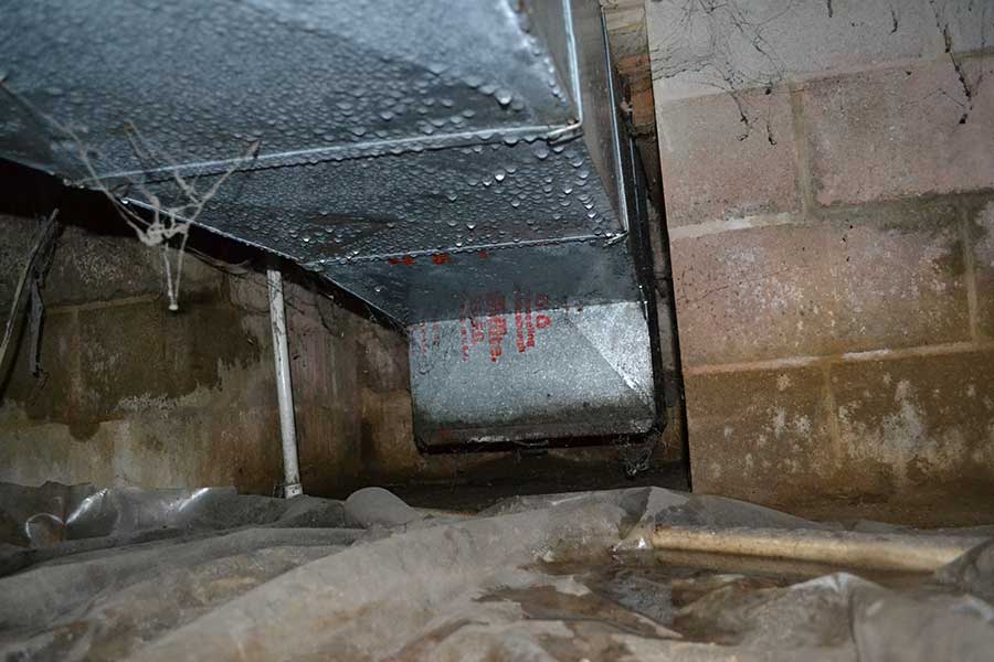 Waterproofing in High Humidity