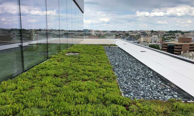 Installing and Protecting Green Roofs