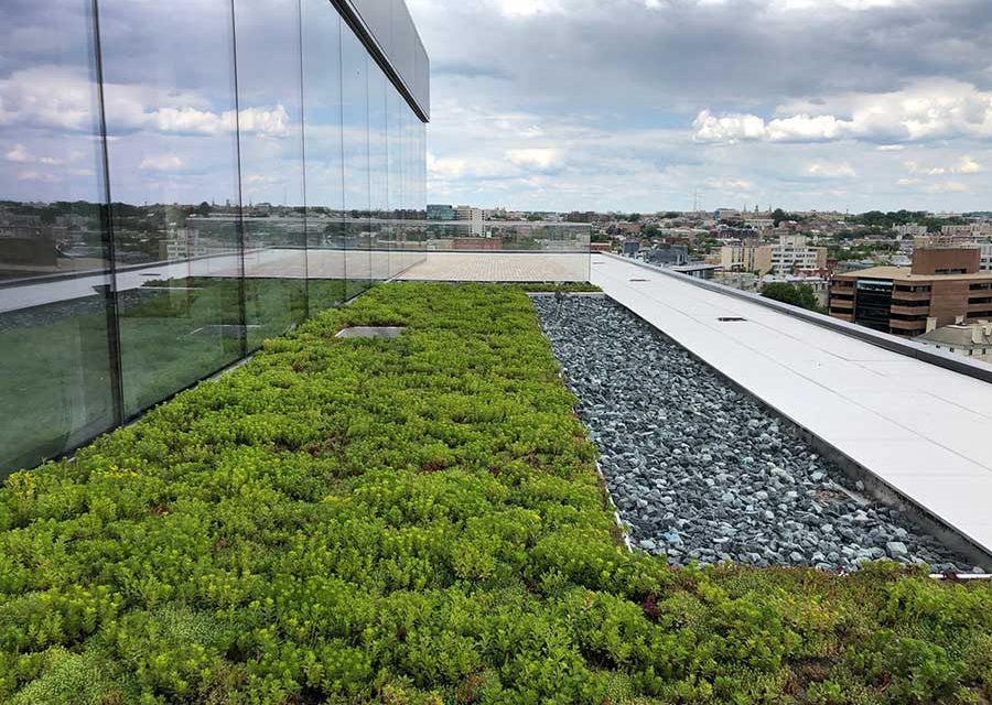 Installing and Protecting Green Roofs