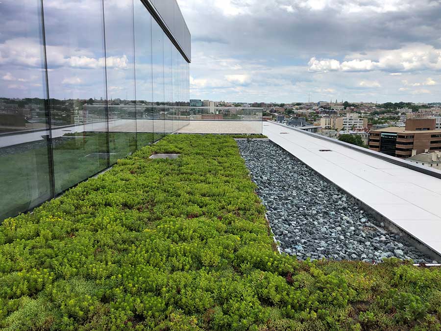 Installing and Protecting Green Roofs