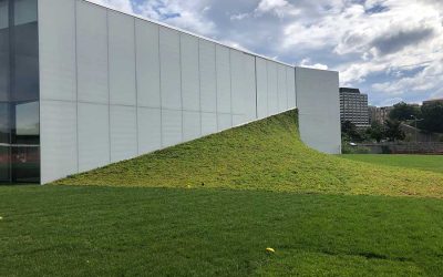 Pushing the Envelope: Steeply Sloped Green Roofs