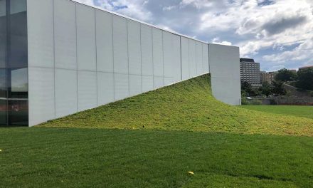 Pushing the Envelope: Steeply Sloped Green Roofs