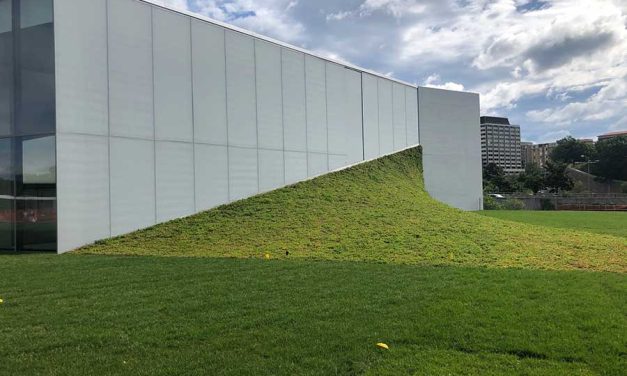 Pushing the Envelope: Steeply Sloped Green Roofs