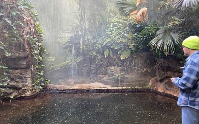 Case Study: Waterproofing the Bronx Zoo River Under Crocodile Supervision