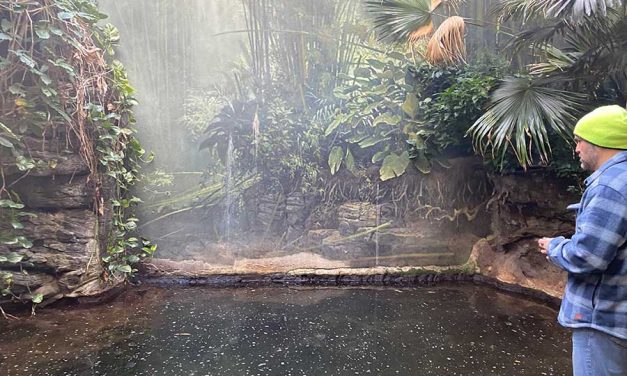 Case Study: Waterproofing the Bronx Zoo River Under Crocodile Supervision