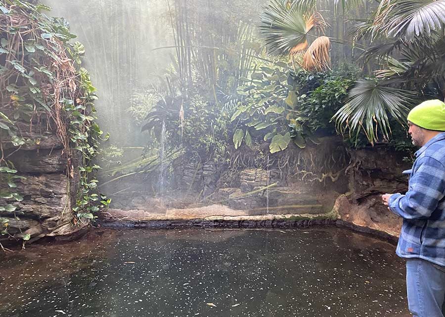 Case Study: Waterproofing the Bronx Zoo River Under Crocodile Supervision