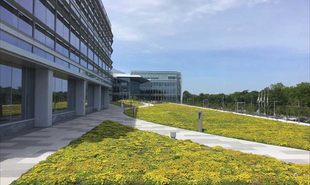 Sustainable Roofing