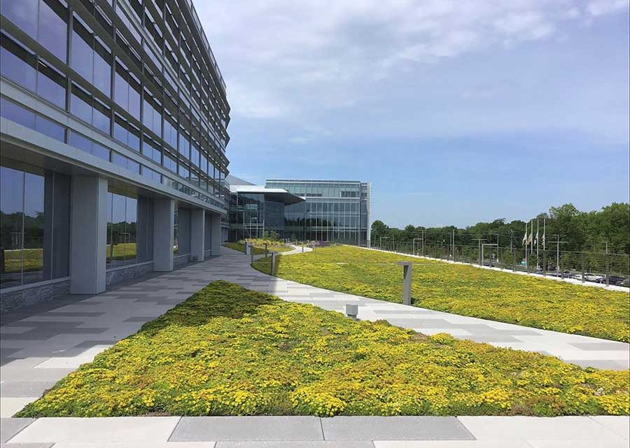 Sustainable Roofing
