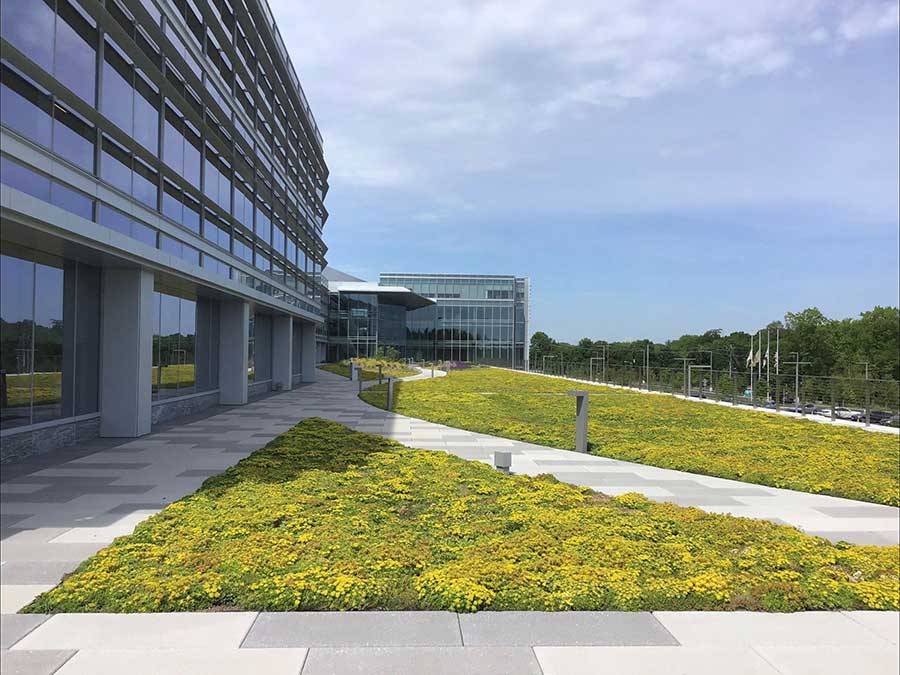 Sustainable Roofing
