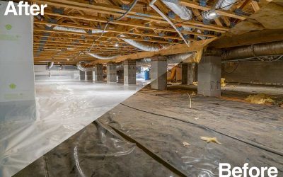 Crawlspace Health and Safety