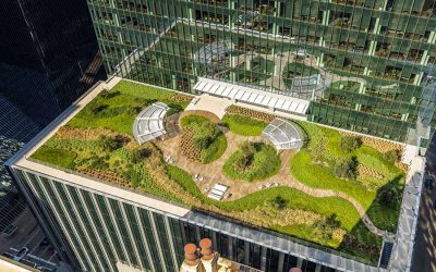 Green Infrastructure Solutions for Today’s Rooftops