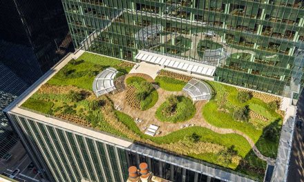 Green Infrastructure Solutions  for Today’s Rooftops