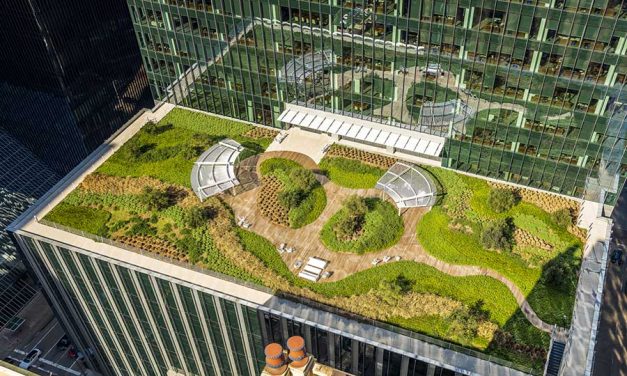 Green Infrastructure Solutions  for Today’s Rooftops