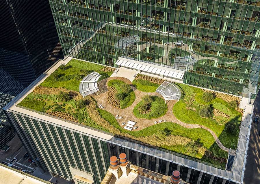 Green Infrastructure Solutions  for Today’s Rooftops